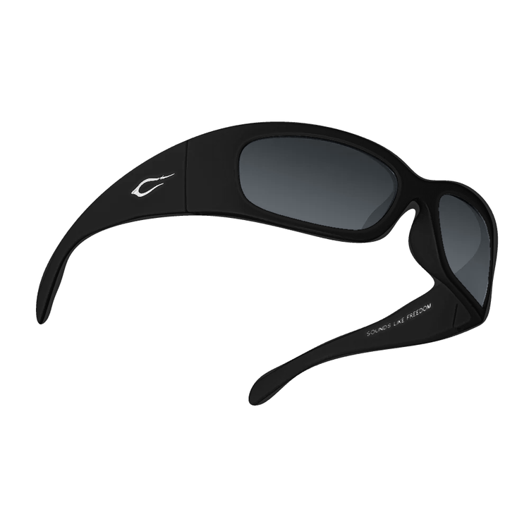 Napster sunglasses in black with smoke lenses, product view