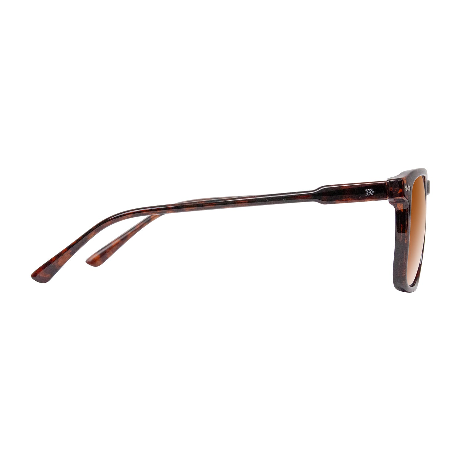 #color_Splatter Tortoise / Polarized Brown Lens