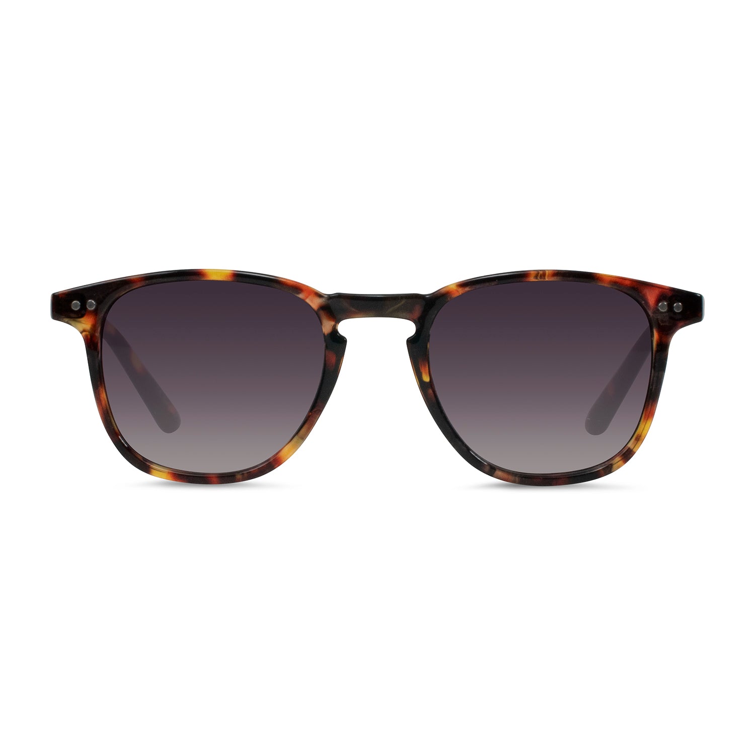 #color_Whiskey Tortoise / Smoke Gradient Lens