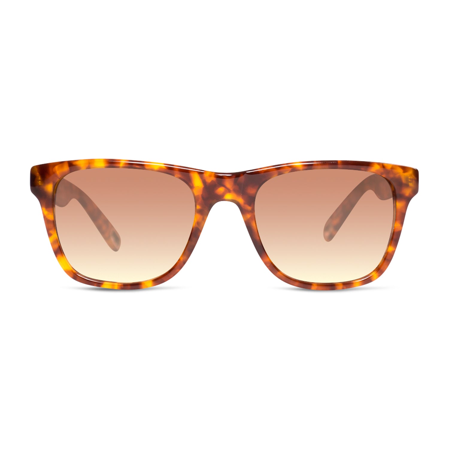 #color_Amber Tortoise / Brown Gradient Lens